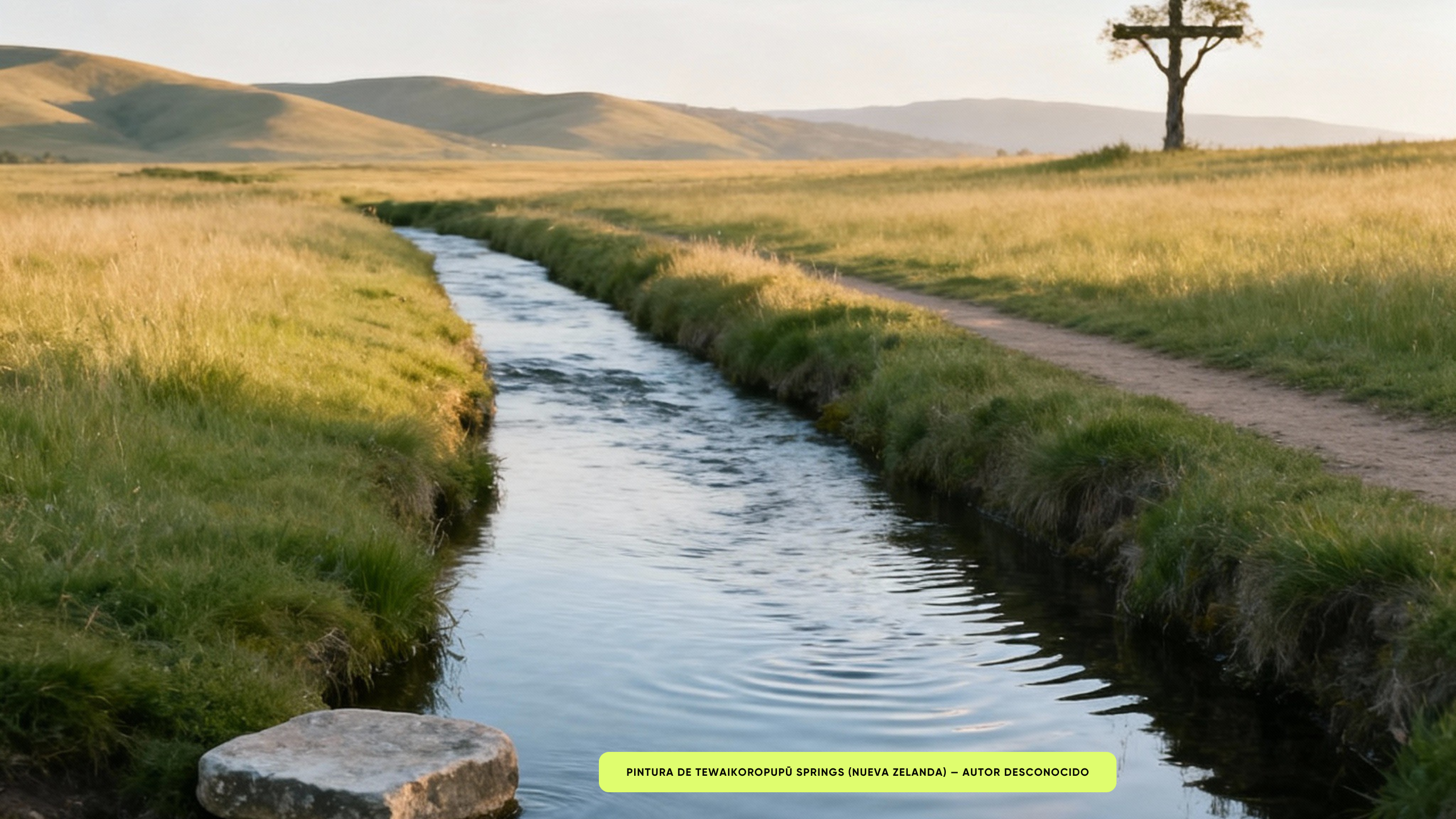 TeWaikoropupū Springs — Integridad y Pureza